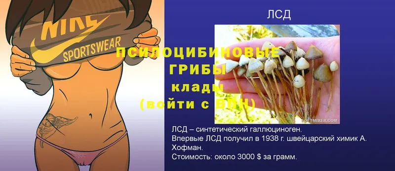 это клад  Лянтор  Галлюциногенные грибы Psilocybe  купить закладку 